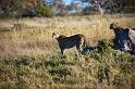 20090618_075105 D3 (1) X1